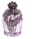 Gabbia Dark 
