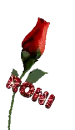 Roni Rose