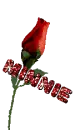 Minnie Rose