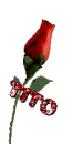 Tito Rose