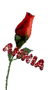 Annia Rose