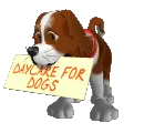 daycare for dogs