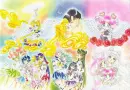 Senshi Backround