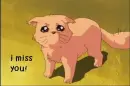 i miss you
