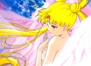 sailor moon