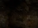 Rustic Background