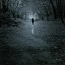 lost in my dream