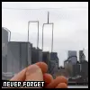 Never foget 9/11