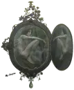Illusione 