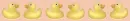 baby ducks divider