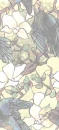 stained glass birds