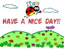 Have A Nice Day