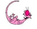 áƒ¦PiNkáƒ¦CaTáƒ¦