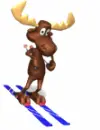 skiing moose