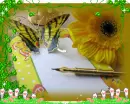 BUTTERFLY LETTER
