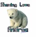 Showing Love Polar Bear - Andrea