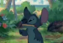 angry stitch