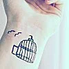 freedom