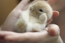 cute