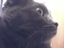 HUH