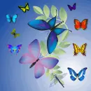 GLISTENING BUTTERFLYS