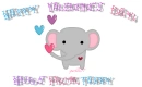 Tabby