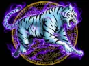 YEAR OF THE TIGER