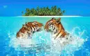 TROPICAL TIGERS
