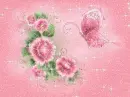 PINK PRECIOUS ROSES