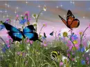 EVENING SPARKLING BUTTERFLIES
