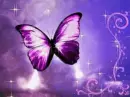 GLITTERY PURPLE BUTTERFLY