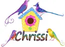 spring birds for Chrissi