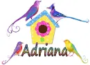 spring birds for Adriana