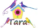 spring birds for Tara