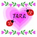Tara