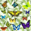 SWEET GLISTENING BUTTERFLIES
