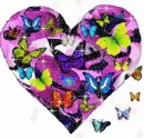 VALENTINE BUTTERFLY HEART