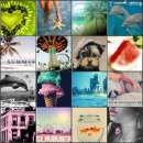 Summer Collage