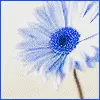 color
