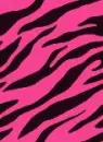 Pink zebra