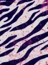 Blood stained zebra print
