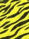 Yello zebra stripes