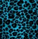 Blue leopard print