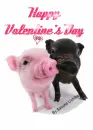 Valentine's Day-Pig