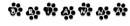 Brianna Paw Prints