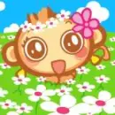 yoyocici