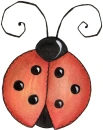 Coccinella