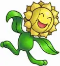 sunflora