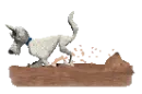digging dog