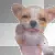 puppies!!!!!!!!!!!!!!!!!!!!!!